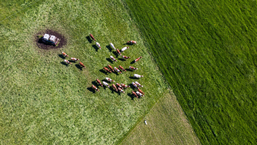 Kolike su cene zakupa poljoprivrednog zemljišta u EU?