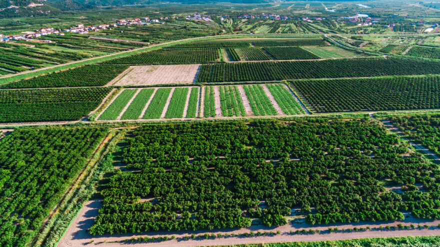 Neretvanska mladež poslala otvoreno pismo ministrici: omogućite upis svih čestica u ARKOD