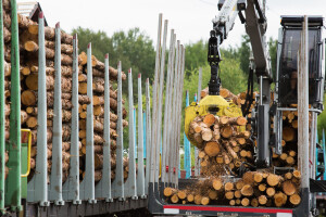 Nova mjera kreditiranja za prerađivače drva i proizvođače namještaja
