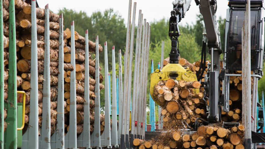 Vrijednost prodanog drva bila veća za 21 posto, cijene skočile za 22 posto