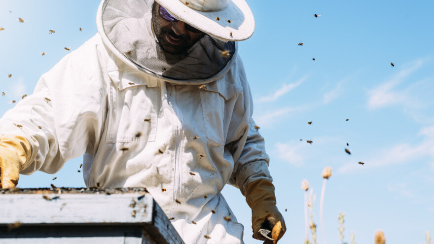 Utvrđen prijedlog: Šta donose izmjene Zakona o pčelarstvu RS?