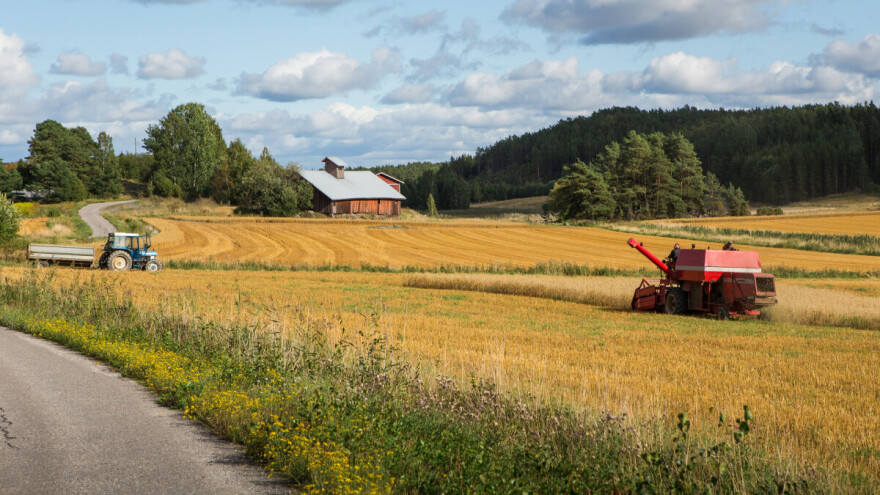 Zobene pahuljice su nova Nokia za Finsku?