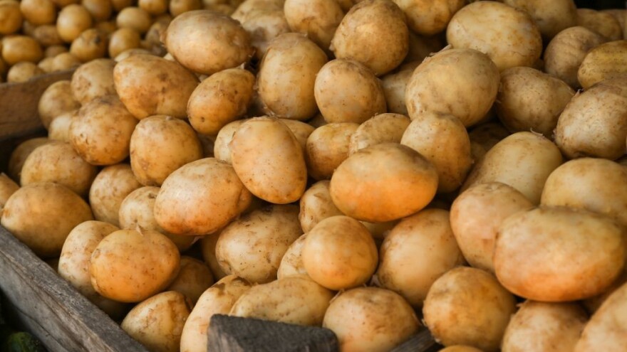 Stiže rani egipatski krumpir - tko ga najviše uvozi?