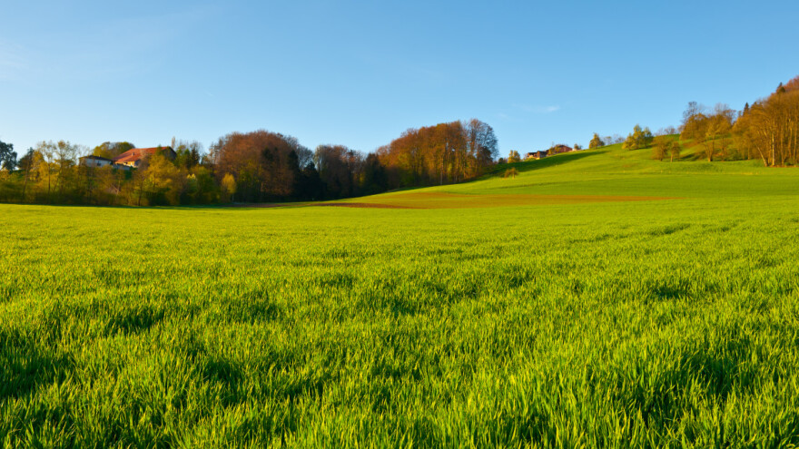 Devet ciljeva ZPP-a: Od održivog dohotka do zaštite zdravlja