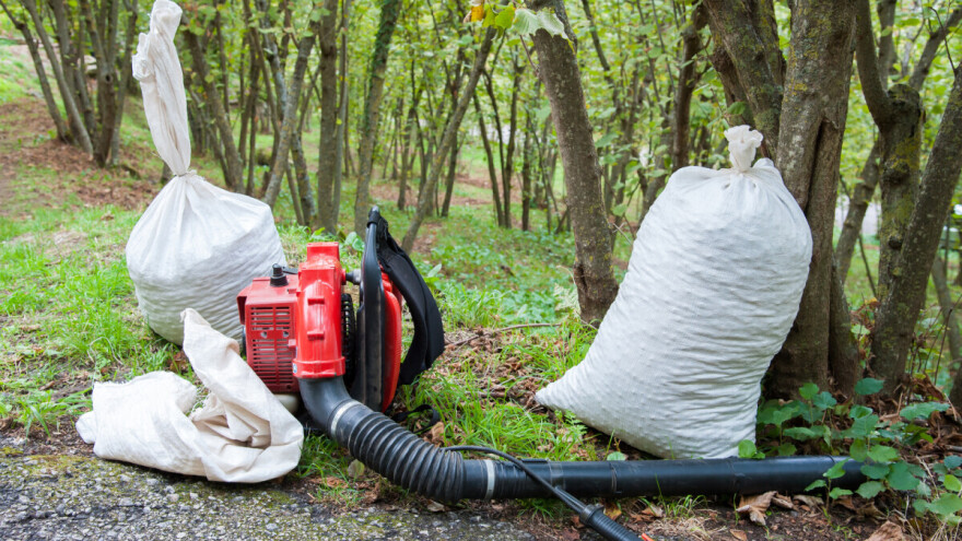 Šta je važno znati kod izbora mašina i opreme za uzgoj leske?