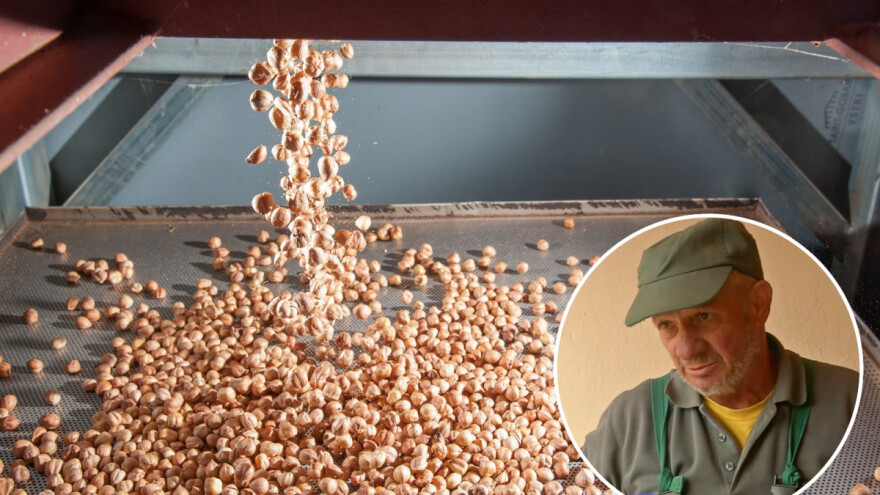 Vlatko Glavašić: Više ne nosim 100 kg lješnjaka na rukama za Zagreb - dođu i odnesu