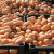 Evropske cene krompira u padu, a kakvi su prinosi?