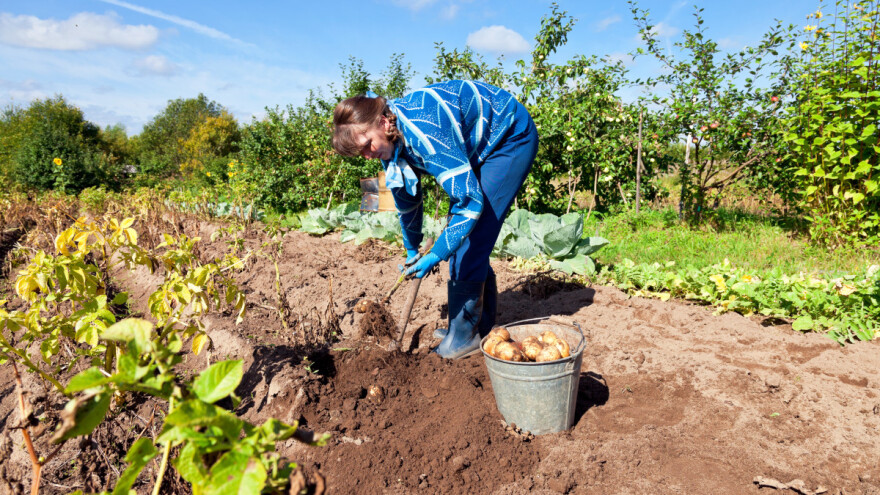Jake seoske žene znače i razvijeno selo - najavljena konferencija i projekt ZaŽene