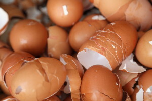 Pripremite čaj od ljusaka jaja koji odlično djeluje na biljke