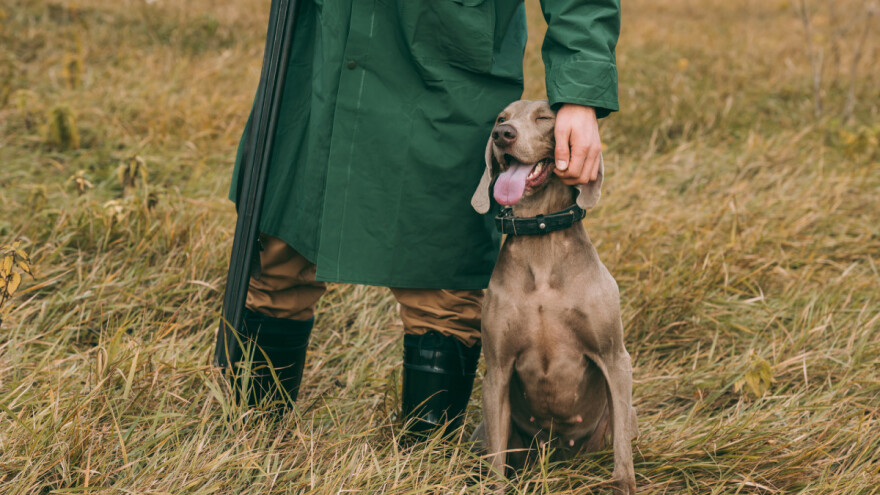 U Splitu s radom započela Prva pravna klinika za lovstvo i zaštitu prirode