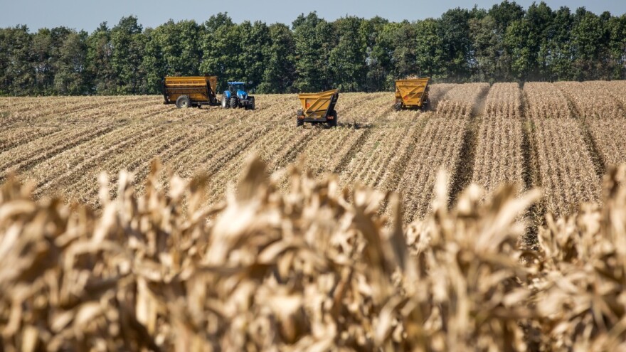 Svjetska proizvodnja žitarica dostiže rekord iz 2021. godine?