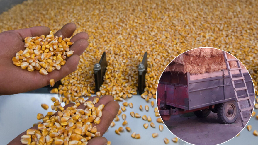 Ukrali mu prikolicu punu kukuruza - nalazniku nudi nagradu