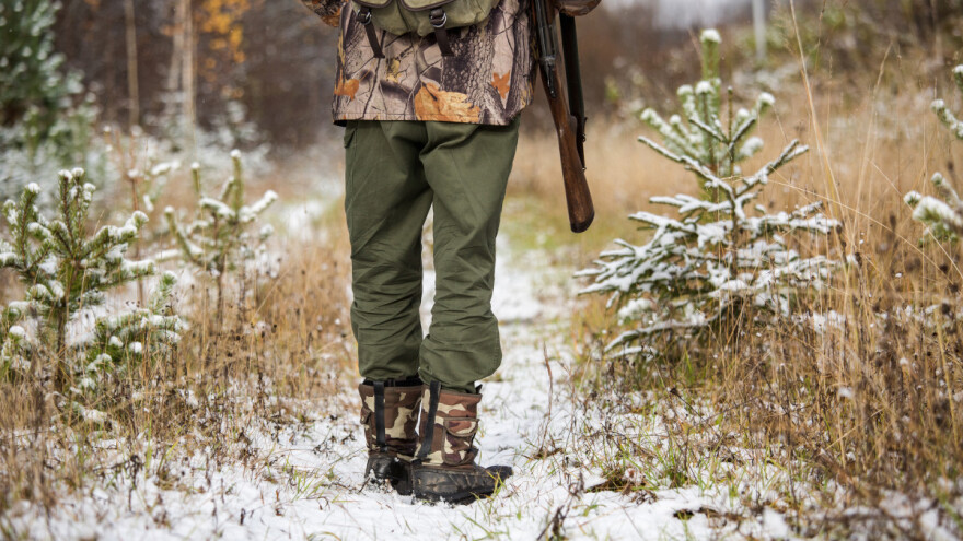 Združeni lov na divlju svinju: Olakšanje za poljoprivrednike?