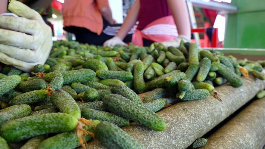 Košarac zatražio od Hrvatske otvaranje zelenih koridora - počinje značajan izvoz