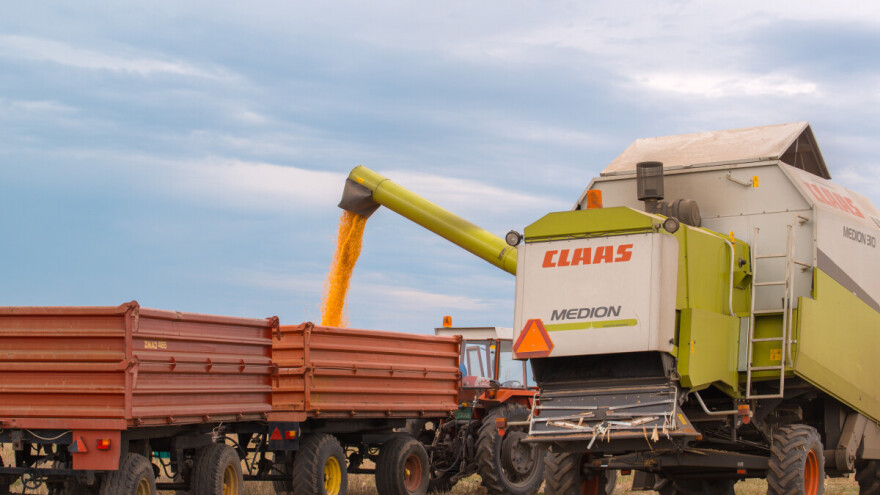Saveti stručnjaka: Kako izbeći gubitke u silaži?