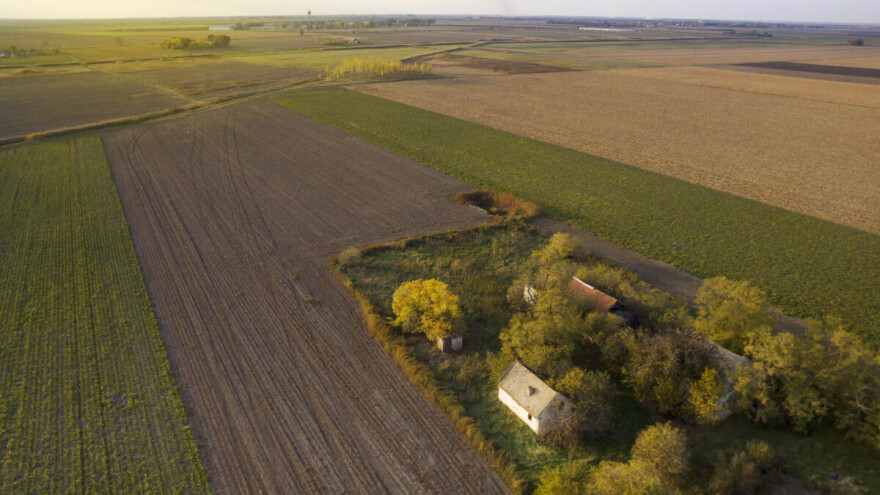 Pojedini poljoprivrednici u Vojvodini pašnjake pretvaraju u obradive površine?