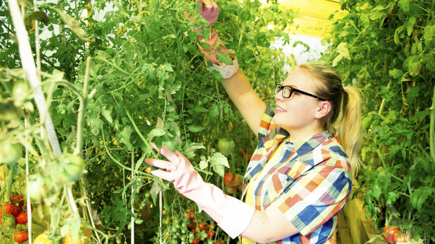 Mogu li poljoprivrednici biti i influenceri?