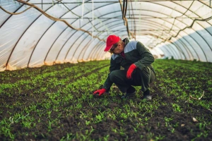 Besplatno onlajn predavanje: BioSens predstavlja rezultate projekta sa farme u Kovilju