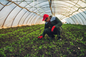 Besplatno onlajn predavanje: BioSens predstavlja rezultate projekta sa farme u Kovilju