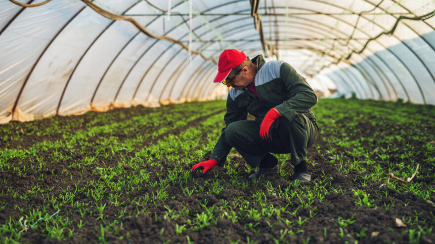 Besplatno onlajn predavanje: BioSens predstavlja rezultate projekta sa farme u Kovilju