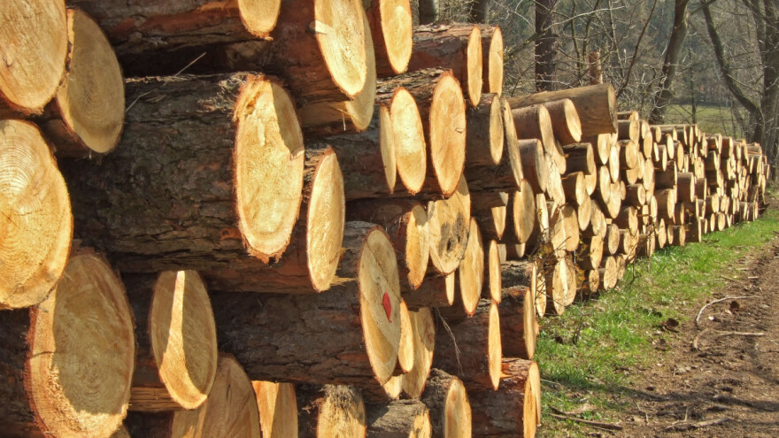 Drvni sektor jedna od rijetkih gospodarskih grana gdje imamo domaće sirovine