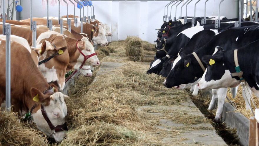Stočni fond u BiH u nezaustavljivom padu!
