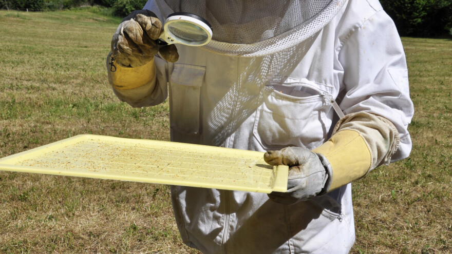 Može li se RNAi tehnologijom stati varoi na kraj?