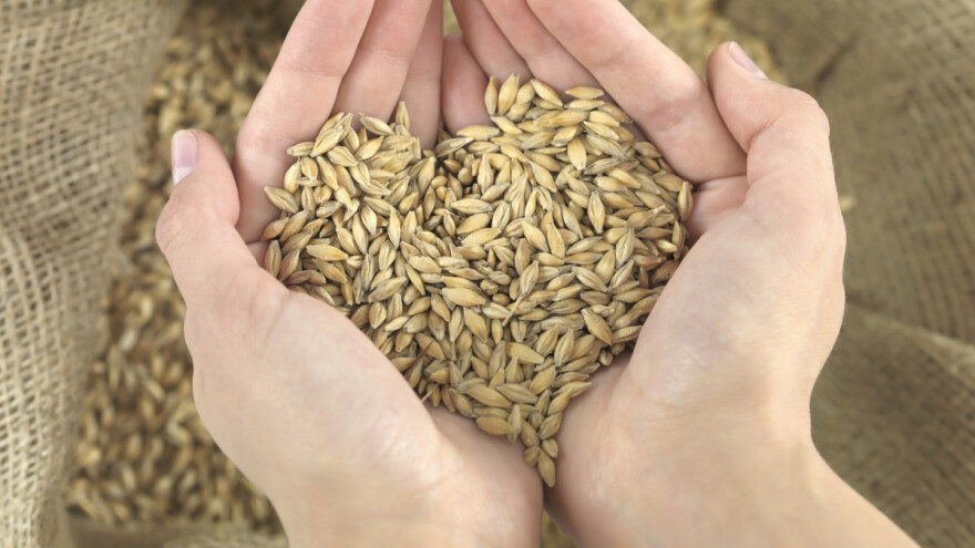 Deponovana semena srpskih sorti u Svetski trezor na Svalbardu