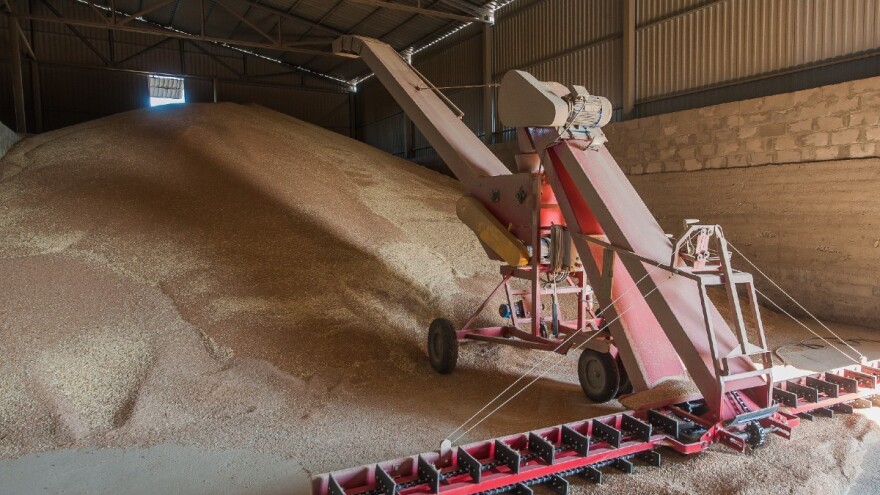 Semberskim ratarima obećana još dva feninga poticaja za pšenicu