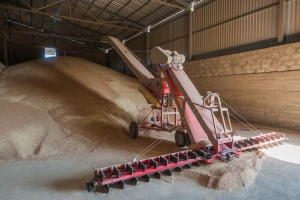 Pad cene pšenice na Produktnoj berzi - 22,8 dinara za kilogram