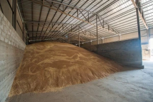 Ove nedelje se najviše trgovalo kukuruzom, cena pšenice u padu