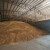 Na Produktnoj berzi veća potražnja za pšenicom nego za kukuruzom?