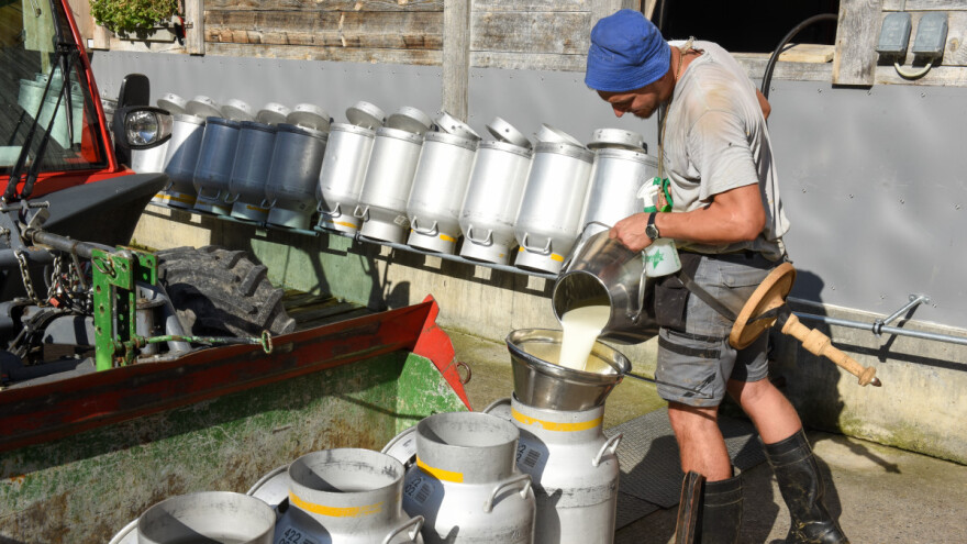 Program potpore: Za nadoknadu troškova sabiranja mlijeka milijun eura