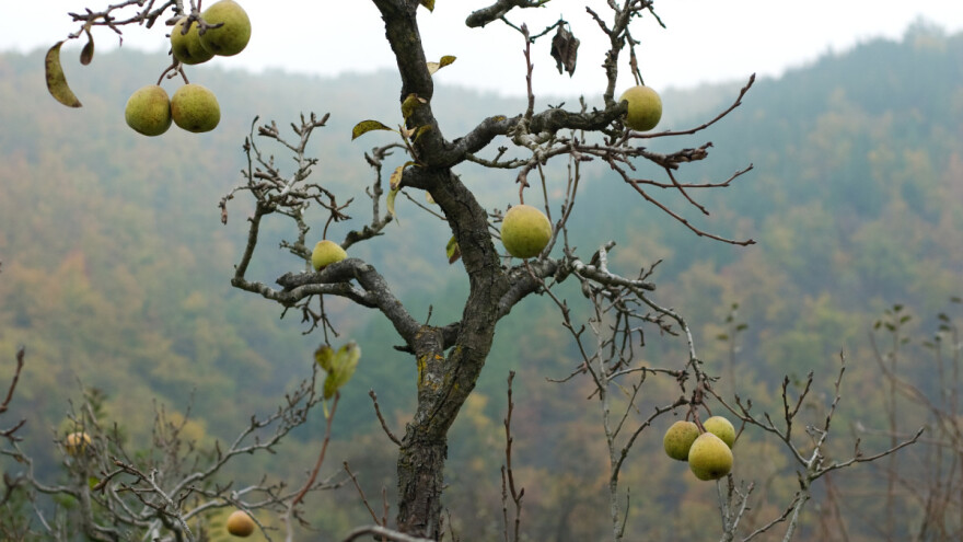 Povratak kalendaru: Temperatura ove sedmice pada do nule