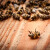 Pčelarima za saniranje štete od pomora 860 kuna po pčelinjoj zajednici
