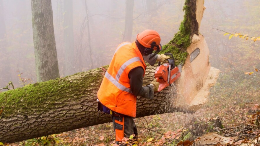 Inspektori će "prečešljati" zalihe i cijene ogrjevnog drveta i peleta u FBiH