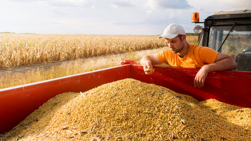 Pad cena žitarica i soje izazvan USDA izveštajem