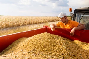 Pad cijena žitarica i soje izazvan USDA izvještajem