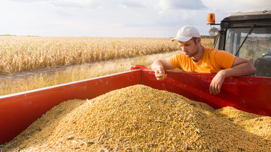 Nastavljen rast cena - soja 64,92 din/kg bez PDV-a