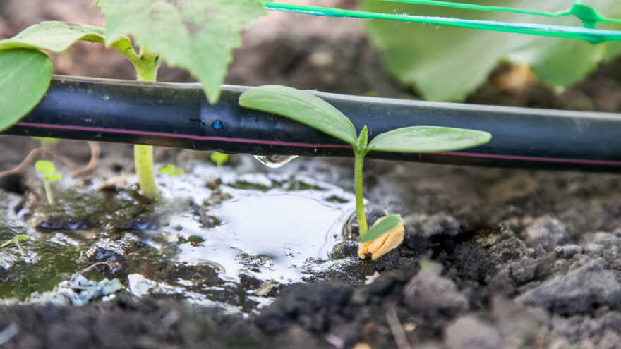 EU pokušava smanjiti rizik od nestašice vode za navodnjavanje