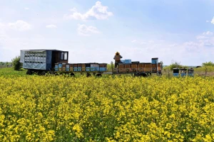 Uprava za zaštitu bilja: Edukacija - kako bismo pomogli jedni drugima