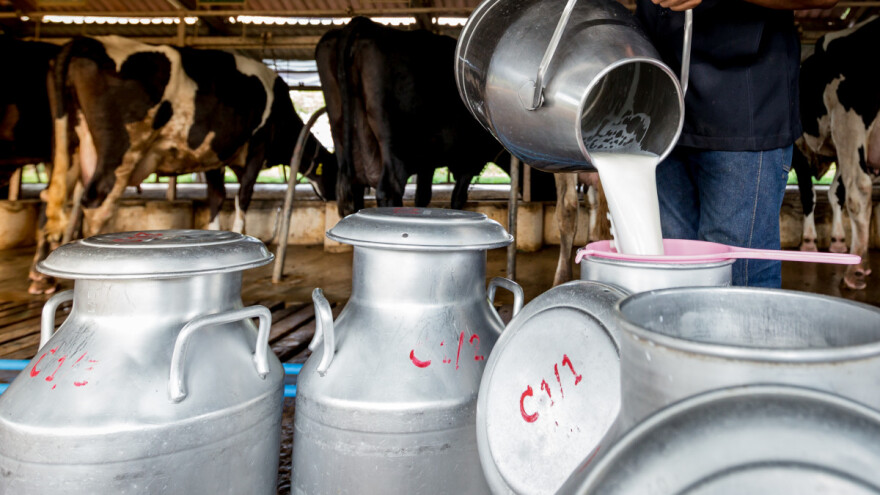 Za godinu dana - nova pravila o količinama aflatoksina u mleku