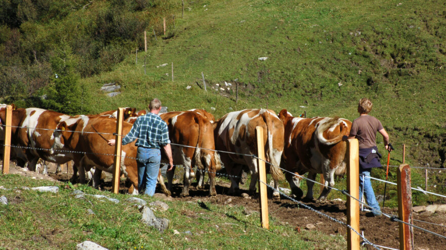 Odustaju od organske proizvodnje: 1.450 poljoprivrednika u Austriji mijenja smjer