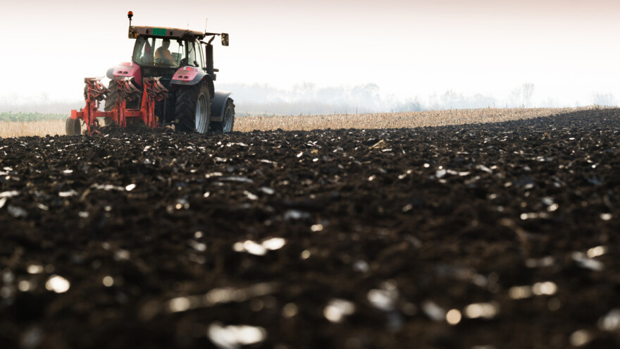 Šta trebamo uraditi prije sjetve zobi?
