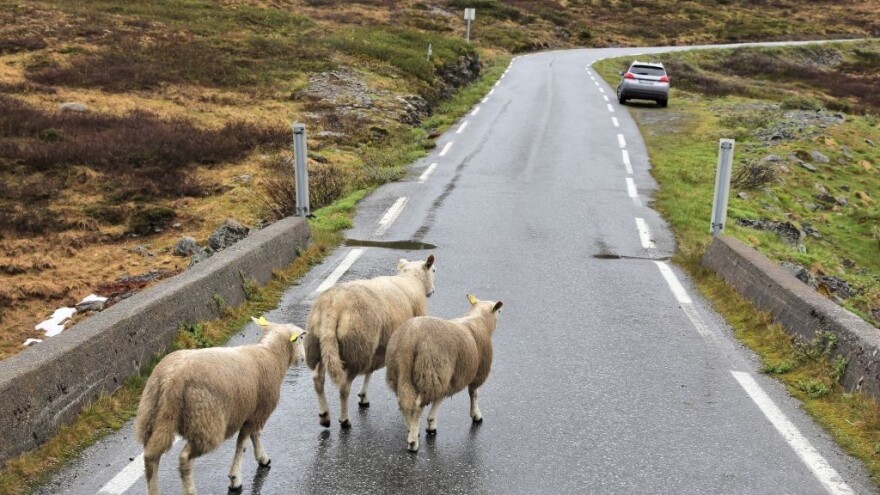 Dobiće skoro 1.500 evra po hektaru za mere iz zaštite životne sredine?