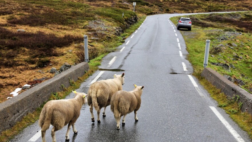 Očekuju se obilnije padavine - zaštitite imovinu