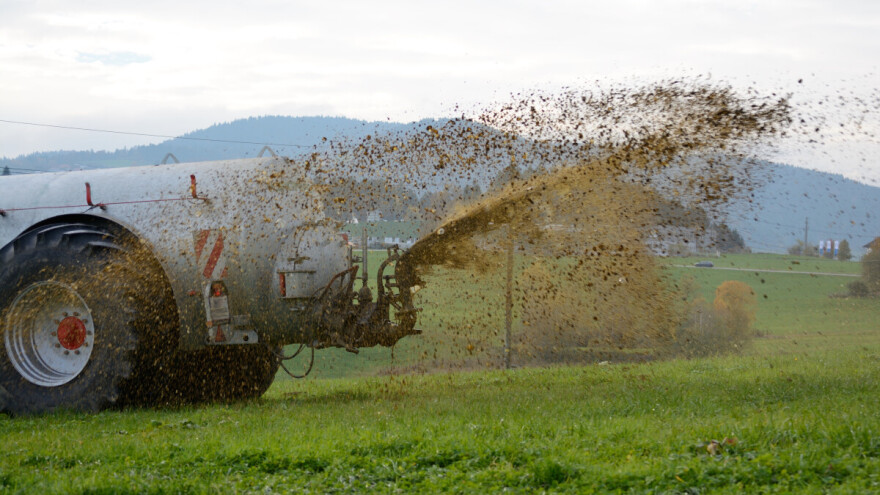 Gnojidba travnjaka azotom - koliko za dva, a koliko za tri otkosa?