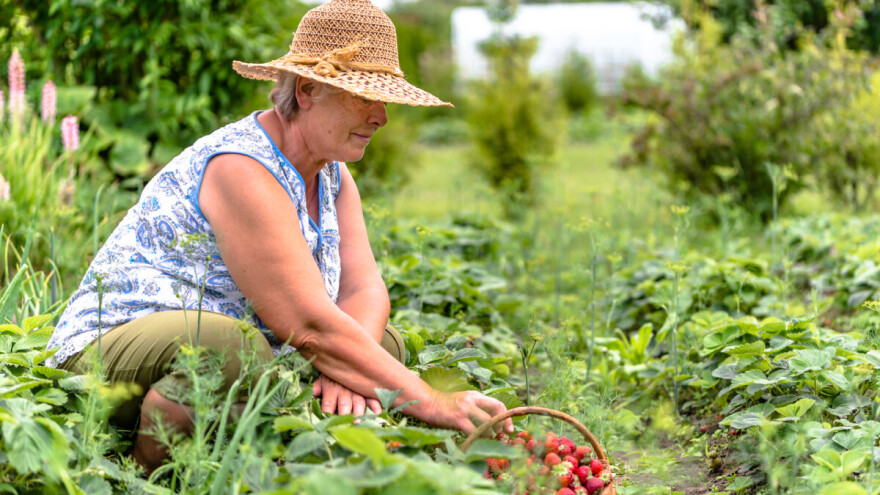 Dodjela sredstava za sufinansiranje programa udruženja građana i fondacija
