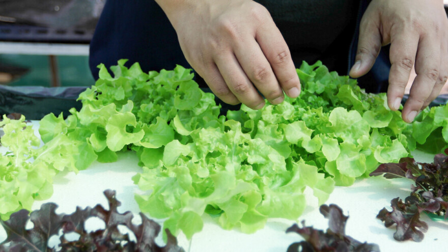 Info radionica: EU fondovi – prilike i mogućnosti za poduzetnike