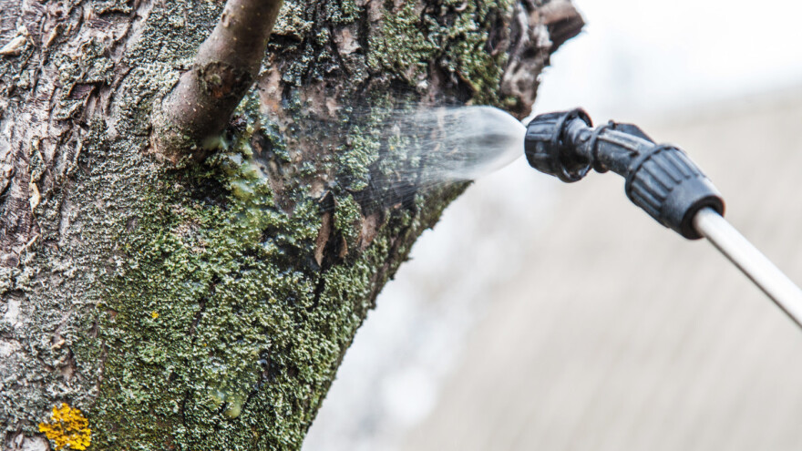 Jesenjim tretmanom voćnjaka smanjujemo moguće štete tokom vegetacije